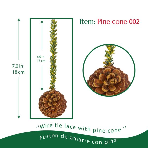 Pine cone 002 - Image 2