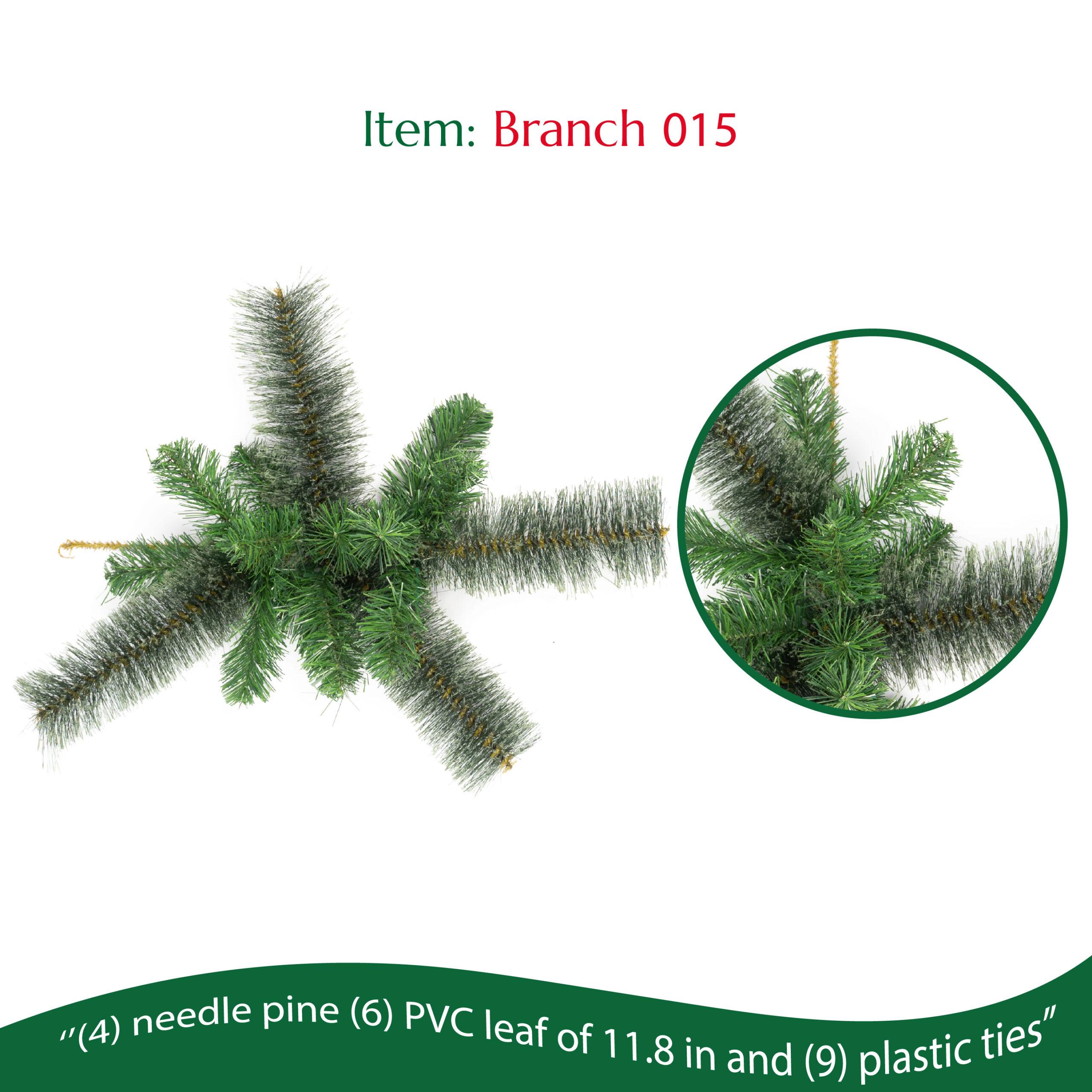 Branch 015