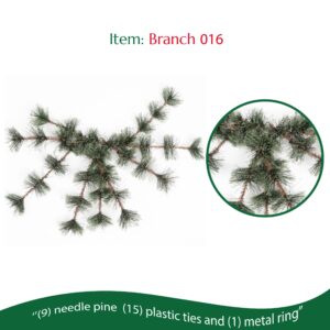 Branch 016