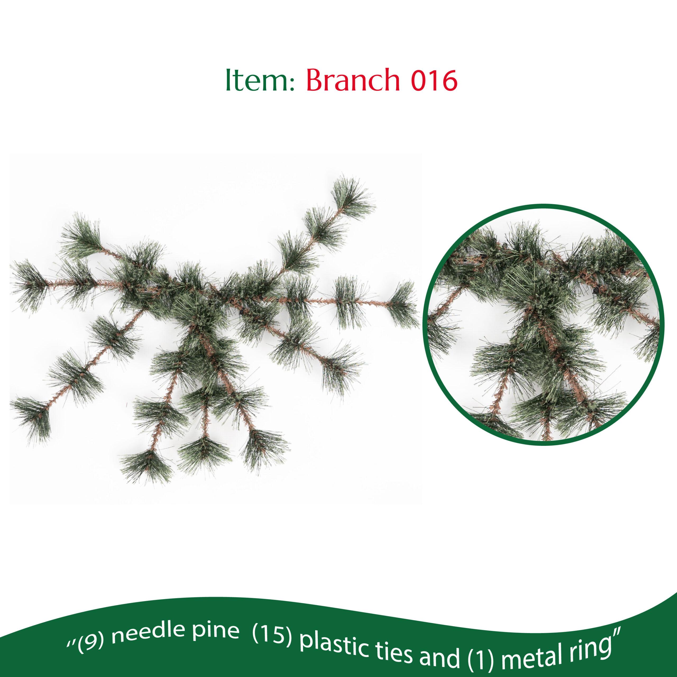 Branch 016