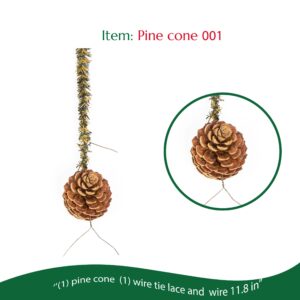 Pine cone 001