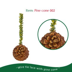 Pine cone 002