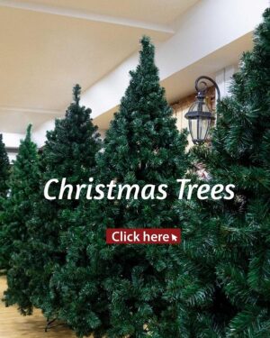TREES