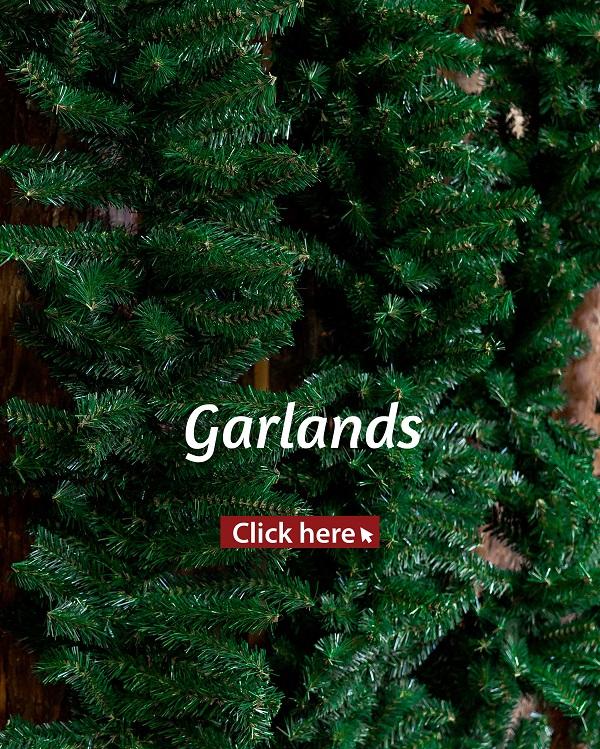 Fexton Christmas Trees