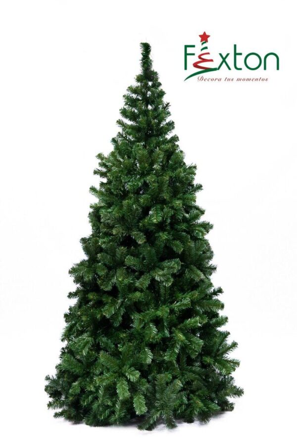 Christmas Tree Monterrey - Image 2